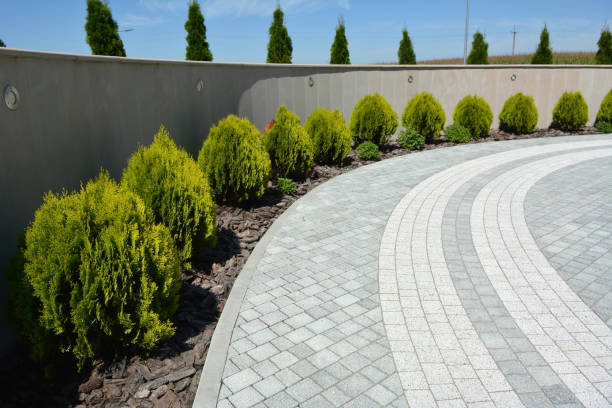 Best Driveway Paving Contractor  in Half Moon, NC